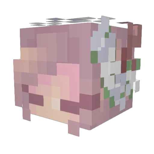 s3ntim3nt Minecraft avatar head, 3D render