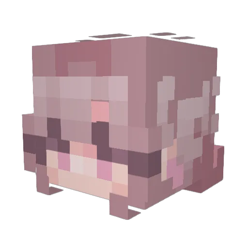 s3teczka Minecraft avatar head, 3D render