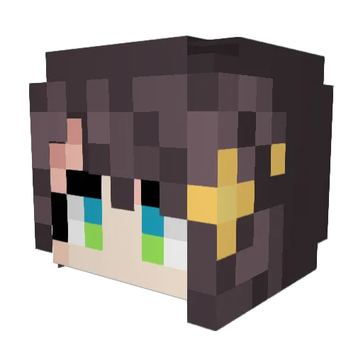 s435269 Minecraft avatar head, 3D render
