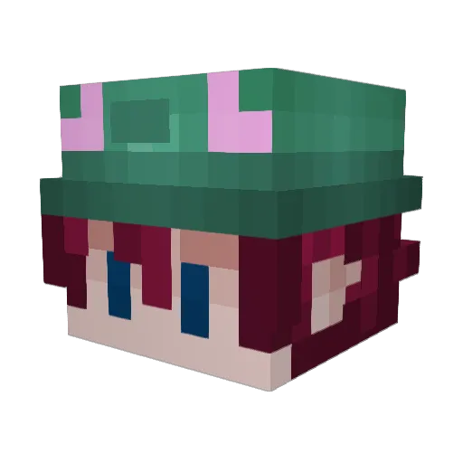 s4lr Minecraft avatar head, 3D render