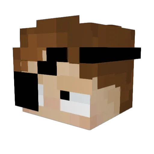 s4ltysalt Minecraft avatar head, 3D render