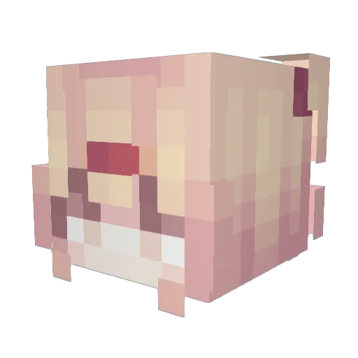 s4mmyyy Minecraft avatar head, 3D render