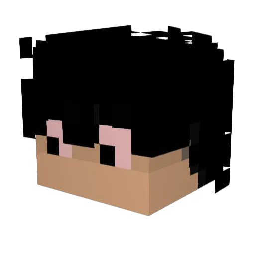 s4sga0e Minecraft avatar head, 3D render