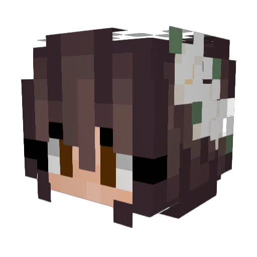 s580711 Minecraft avatar head, 3D render