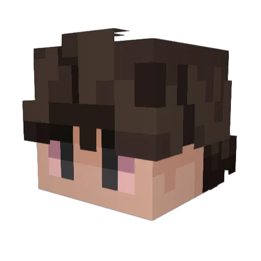 s6acesp1der Minecraft avatar head, 3D render