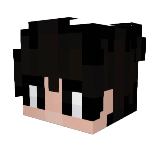 s6oo2_ Minecraft avatar head, 3D render