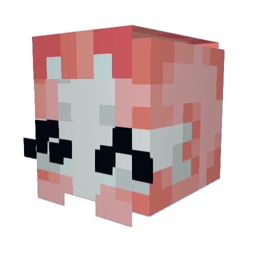 s6rcan Minecraft avatar head, 3D render