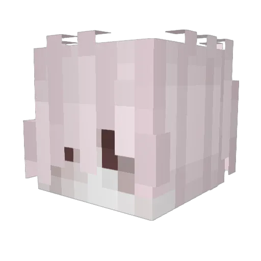 s6vagee Minecraft avatar head, 3D render