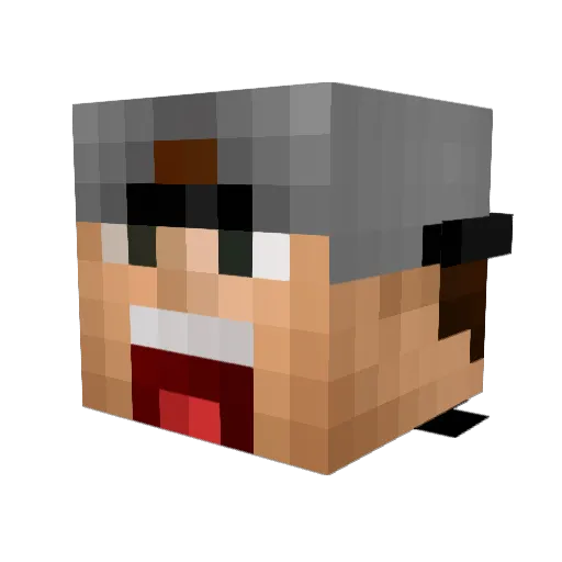 s7ef007 Minecraft avatar head, 3D render