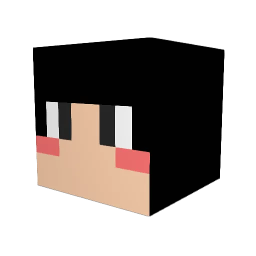 s9735 Minecraft avatar head, 3D render