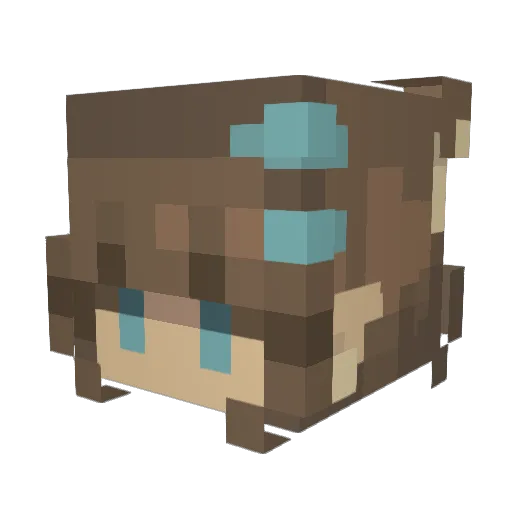 s9phxx Minecraft avatar head, 3D render