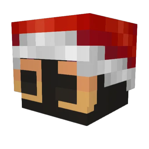 sAlw0n Minecraft avatar head, 3D render