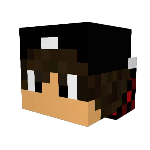 sAmUeLe_02 Minecraft avatar head, 3D render
