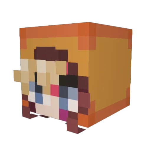 sAmnoO_ Minecraft avatar head, 3D render