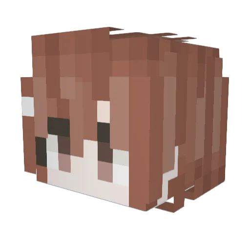 sAnye__ Minecraft avatar head, 3D render