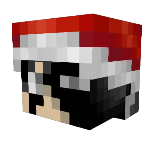 sAvAgEdRiLlEr Minecraft avatar head, 3D render