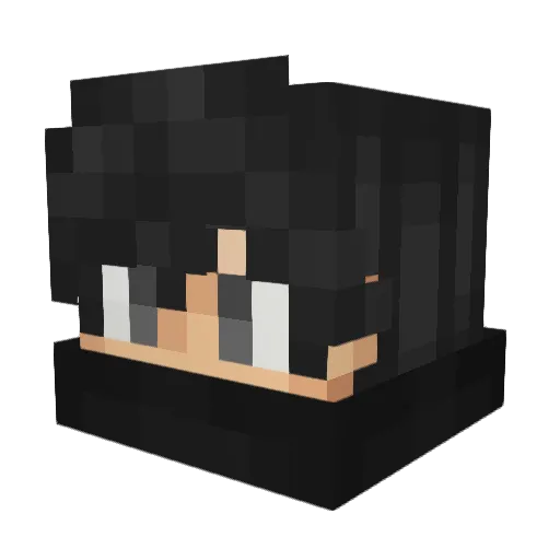 sER0SH Minecraft avatar head, 3D render