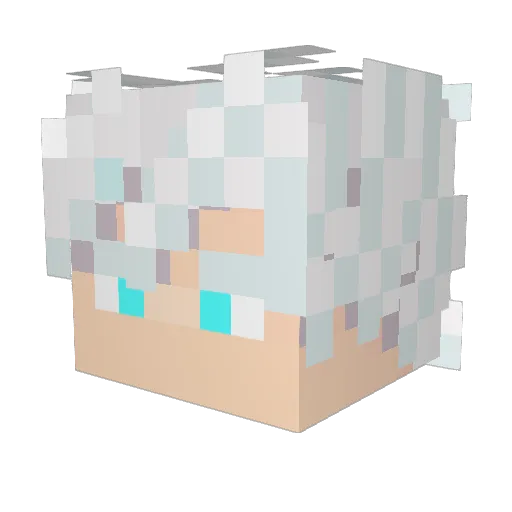 sKYHUNTER31 Minecraft avatar head, 3D render