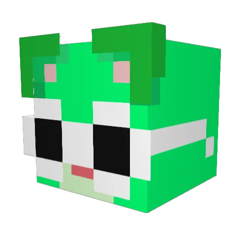 sKuuL22 Minecraft avatar head, 3D render