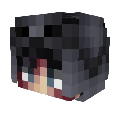sNIGGER48192 Minecraft avatar head, 3D render