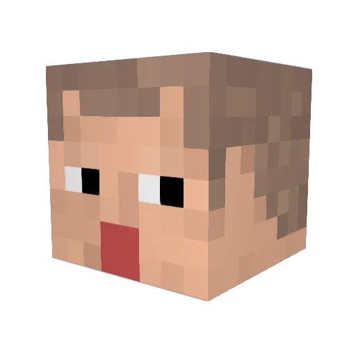 sN_Mk2 Minecraft avatar head, 3D render