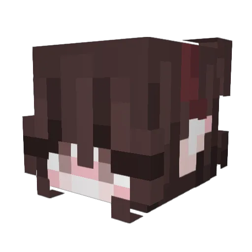 sQuidiie Minecraft avatar head, 3D render