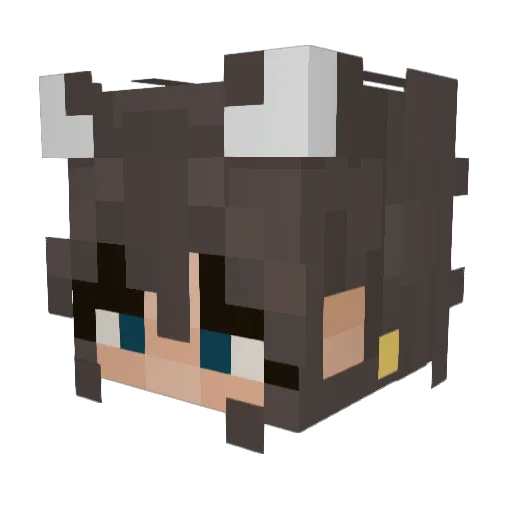 sRA0 Minecraft avatar head, 3D render