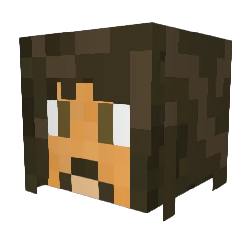 sSNAREe Minecraft avatar head, 3D render