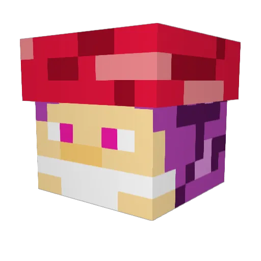 sTas073 Minecraft avatar head, 3D render