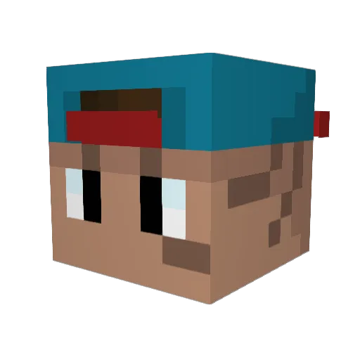 sWDiego Minecraft avatar head, 3D render