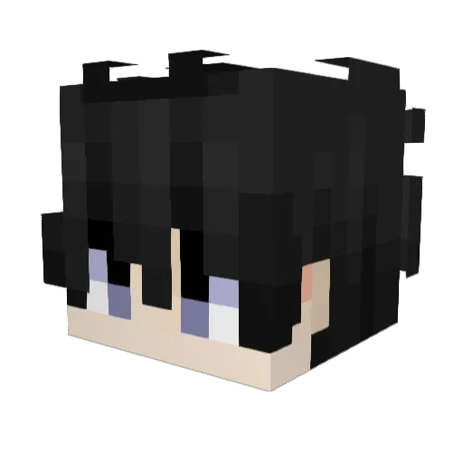 sWhyDam Minecraft avatar head, 3D render