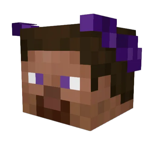 s_4 Minecraft avatar head, 3D render
