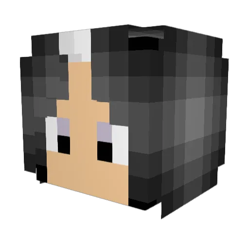 s______ Minecraft avatar head, 3D render