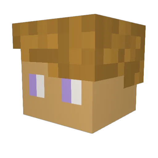 s_dude123 Minecraft avatar head, 3D render