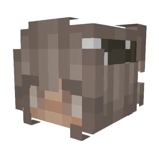 s_gdrgn Minecraft avatar head, 3D render