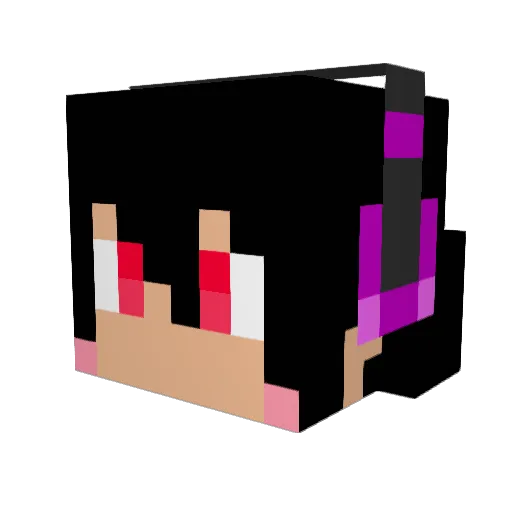 s_kwat Minecraft avatar head, 3D render