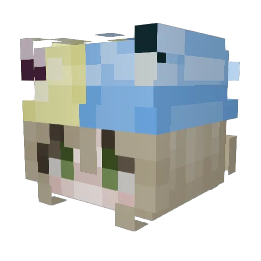 s_meister13 Minecraft avatar head, 3D render