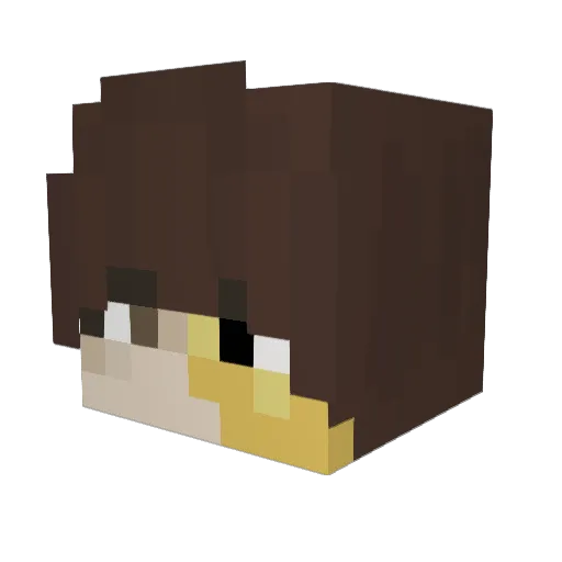 s_o_u_p_23 Minecraft avatar head, 3D render