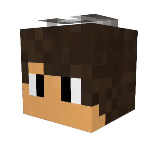 s_o_wuiner Minecraft avatar head, 3D render