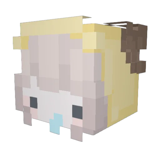 s_p9 Minecraft avatar head, 3D render