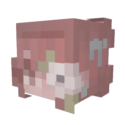 s_puds Minecraft avatar head, 3D render
