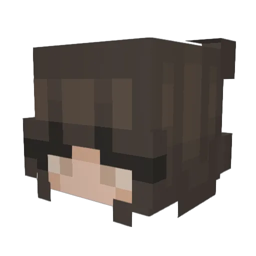 sa1m4h Minecraft avatar head, 3D render