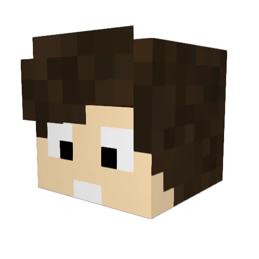 sa1ocins Minecraft avatar head, 3D render