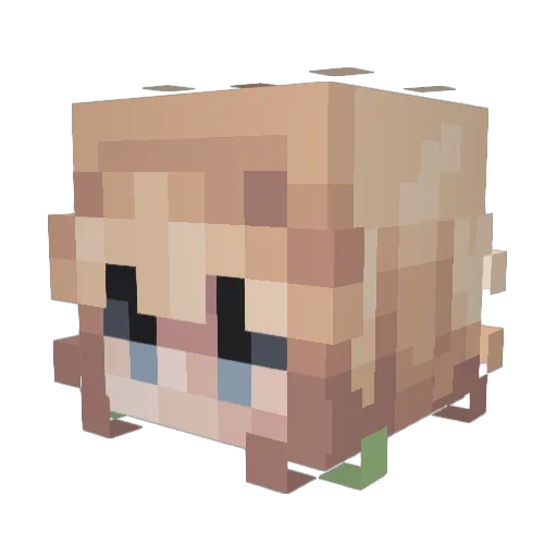 sa3lum Minecraft avatar head, 3D render