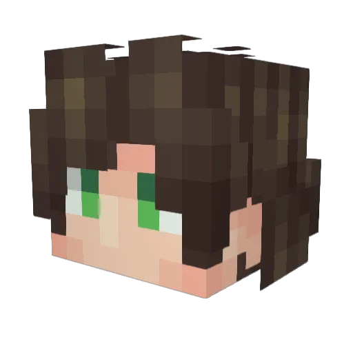 sa5o Minecraft avatar head, 3D render