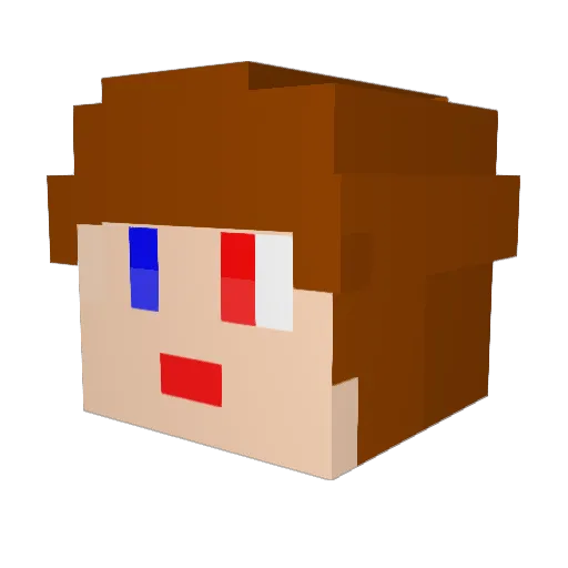sa_sock Minecraft avatar head, 3D render