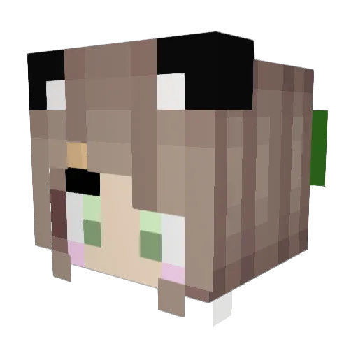 saaau Minecraft avatar head, 3D render