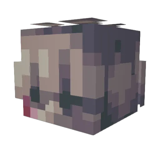 saaawdust Minecraft avatar head, 3D render