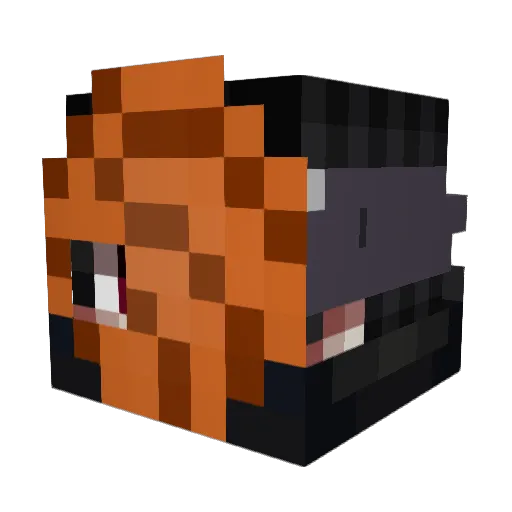 saaimmm_ Minecraft avatar head, 3D render