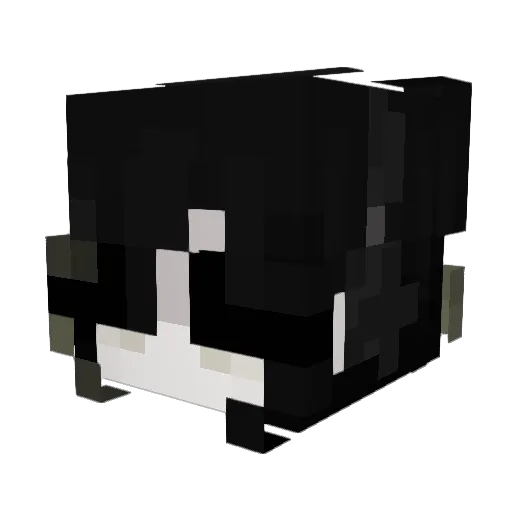 saanwoo Minecraft avatar head, 3D render